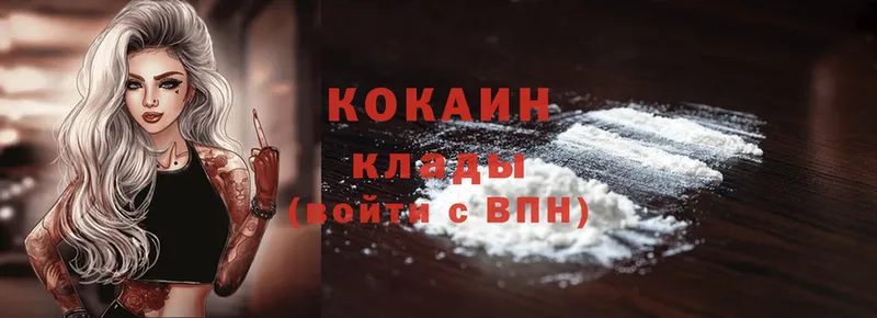 купить закладку  Донецк  Cocaine FishScale 